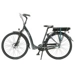 Bikkel iBee LI Bikkel iBee LI