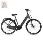 BSP Topaz 56cm Emerald green