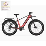 Muon Axion Adventurebike & Fatbike Muon Axion Adventurebike & Fatbike