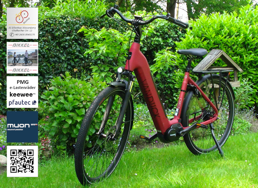 leistungsstarke e-Bikes / Pedelecs & Zubehör zu fairen Preisen - van Dijck Juno 5 Riemenantrieb 90Nm Akku 706Wh