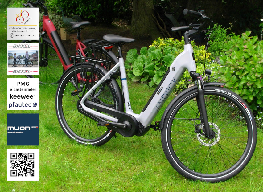 leistungsstarke e-Bikes / Pedelecs & Zubehör zu fairen Preisen - van Dijck Triton Hypershift 110Nm Akku 706Wh