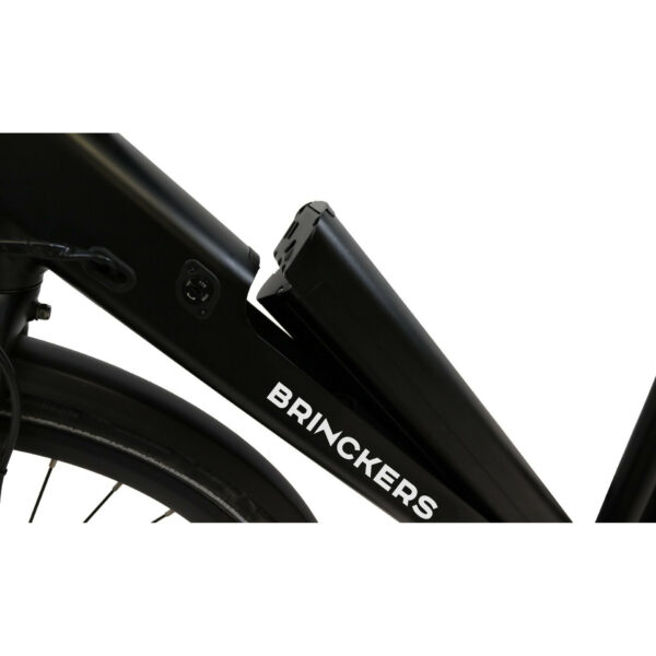 leistungsstarke e-Bikes / Pedelecs & Zubehör zu fairen Preisen - Riemenantrieb 45Nm Hinterradmotor 374Wh IntubeAkku hydraulische Scheibenbremsen Brinckers Bjoern R1