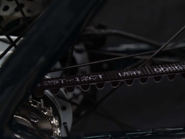 leistungsstarke e-Bikes / Pedelecs & Zubehör zu fairen Preisen - Zahnriemenantrieb M420 Bafang Middrive (80Nm) Scheibenbremsen Magura MT2 IntubeAkku 655Wh – 882Wh Belt - Gates - Riemenantrieb