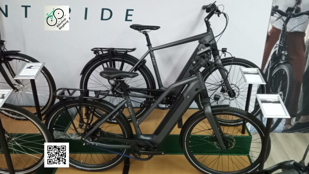 van Dijck Kalii - Pedelecs