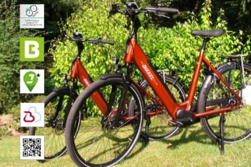 leistungsstarke e-Bikes / Pedelecs & Zubehör zu fairen Preisen - bewährter MD250 von DAPU Motors Bikkel Tuba in kupfer-metallic