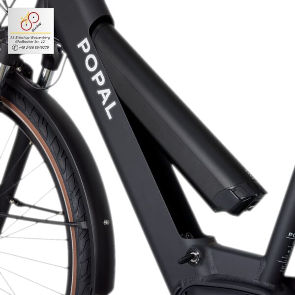 leistungsstarke e-Bikes / Pedelecs & Zubehör zu fairen Preisen - modernes e-Cityrad 65Nm M200 Mittelmotor 520 Wh InTubeAkku hydraulische Scheibenbremsen Popal Novel 504Wh Akku herausnehmbar