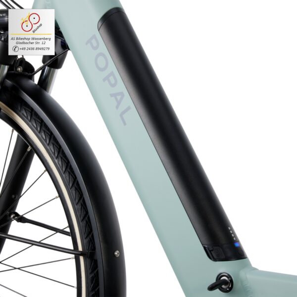 leistungsstarke e-Bikes / Pedelecs & Zubehör zu fairen Preisen - modernes e-Cityrad 65Nm M200 Mittelmotor 520 Wh InTubeAkku hydraulische Scheibenbremsen Popal Novel mineral green IntubeAkku 504Wh