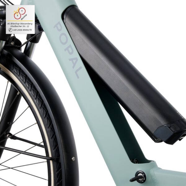 leistungsstarke e-Bikes / Pedelecs & Zubehör zu fairen Preisen - modernes e-Cityrad 65Nm M200 Mittelmotor 520 Wh InTubeAkku hydraulische Scheibenbremsen Popal Novel mineral green mit 504Wh Akku im Rahmen herausnehmbar