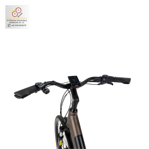 Seitenansicht auf den Lenker des Topaz von BSP