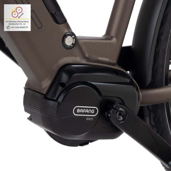 Topaz dark oak von BSP mit M420 Mittelmotor von Bafang