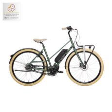 BSP Gaev Shimano Steps D in emerald-green