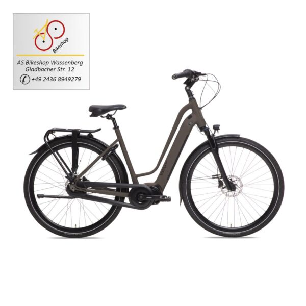 BSP Musa Damen in dark oak