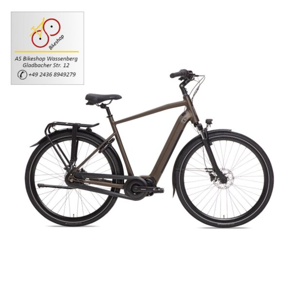 BSP Musa Herren in dark oak