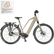 van Dijck Orion E-Bike / Pedelec 90Nm 882 Wh Akku