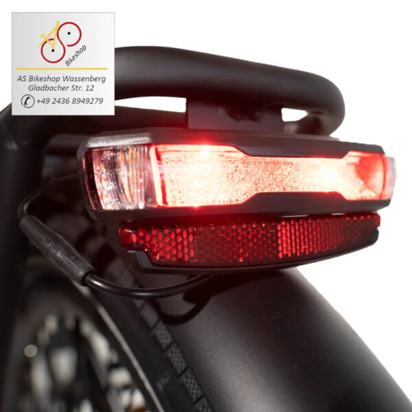 leistungsstarke e-Bikes / Pedelecs & Zubehör zu fairen Preisen - 120 Nm Mittelmotor 643 Wh Akku Hundeklappe Blinker Regenverdeck hydraulische Scheibenbremsen Caboo Cargo Family S