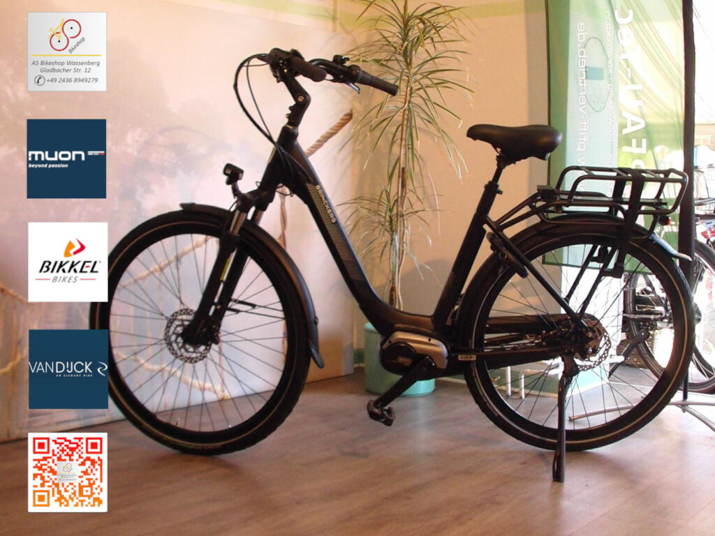 Brinckers Brisbane M310 Enviolo - Ausstellung AS Bikeshop Wassenberg