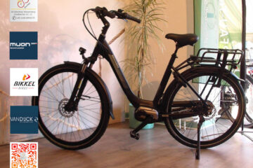 Brinckers Brisbane M310 Enviolo - Ausstellung AS Bikeshop Wassenberg