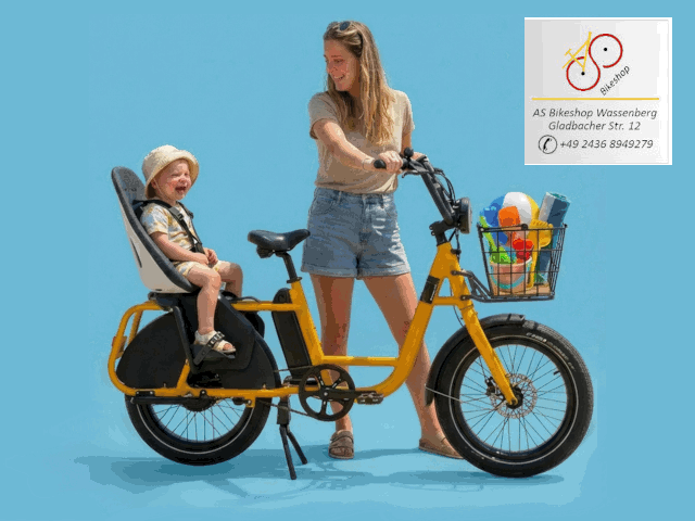 E-Lastenrad - New Brinckers Buddy
