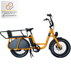New Brinckers Buddy Longtail yellow glossy