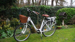 E-Bike Llobe Motion white 8G