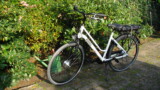 Bikkel iBee Luminous Bikkel iBee Luminous