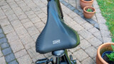 Björn R1 von New Brinckers