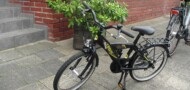 BFI Uran Grunge 20Zoll