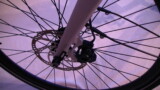 Scheibenbremsen von Shimano Muon Invite