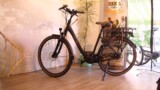 Bikkel Bikes Bora gemütlich e-Trekking- und Cityrad mit Vollausstattung, 80Nm Mittelmotor, 630Wh oder 756Wh Akku und vielen weiteren Extras ab €2.499,00 Bikkel Bikes Bora