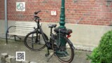 Seitenansicht von hinten Bora von Bikkel Bikes