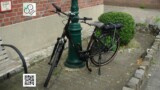 Seitliche Vorderansicht Bora von Bikkel Bikes