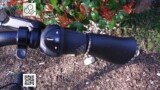 7-Gang-Shimano-Nexus-Schaltung Muon Strive harmony