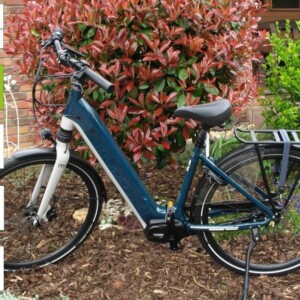 Muon Invite luxury 80Nm Mittelmotor Gates 655Wh