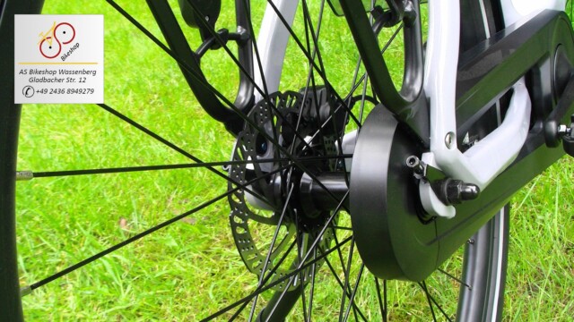 van Dijck Triton Hypershift - Hinterradnabe (Singlespeed) van Dijck Triton Hypershift - Hinterradnabe (Singlespeed)