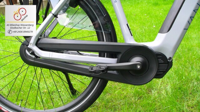 van Dijck Triton Hypershift - Kettenantrieb mit Vollkettenschutz van Dijck Triton Hypershift - Kettenantrieb mit Vollkettenschutz