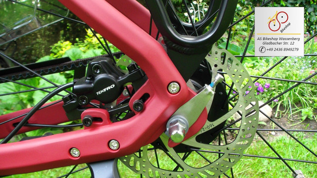 van Dijck Juno 5 - hydraulische Scheibenbremsen von Tektro am Hinterrad van Dijck Juno 5 - hydraulische Scheibenbremsen von Tektro am Hinterrad