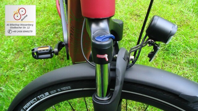 van Dijck Juno 5 - Leicht ein zu stellende Vordergabel van Dijck Juno 5 - Leicht ein zu stellende Vordergabel