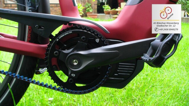 van Dijck Juno 5 - Riemenblatt vorne und Gates van Dijck Juno 5 - Riemenblatt vorne und Gates