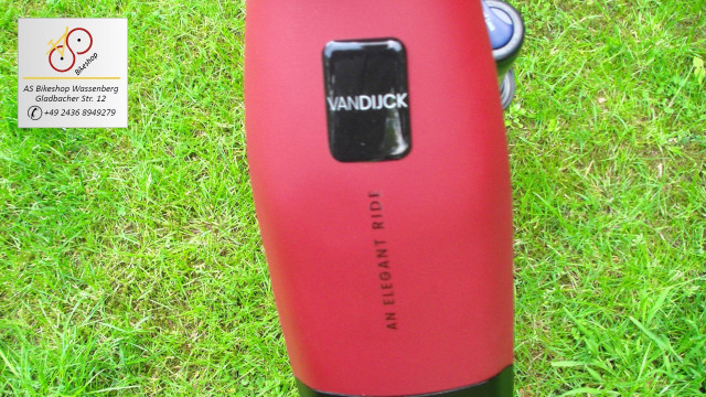 van Dijck Juno 5 Logo auf dem Rahmen van Dijck Juno 5 Logo auf dem Rahmen