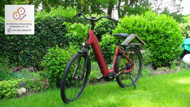 van Dijck Juno 5 - Seitenansicht vorne links van Dijck Juno 5 - Seitenansicht vorne links