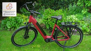 van Dijck Juno 5 - Seitenansicht links