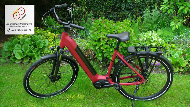 van Dijck Juno 5 - Seitenansicht links van Dijck Juno 5 - Seitenansicht links