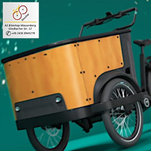 e-Lastenrad Buckle Up - Fronatansicht e-Lastenrad Buckle Up - Fronatansicht