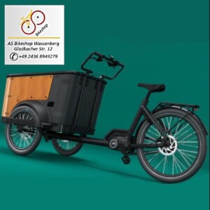 e-Lastenrad Buckle Up - einfach Klasse e-Lastenrad Buckle Up - einfach Klasse