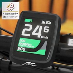 e-Lastenrad Buckle Up - LCD Farbdisplay e-Lastenrad Buckle Up - LCD Farbdisplay