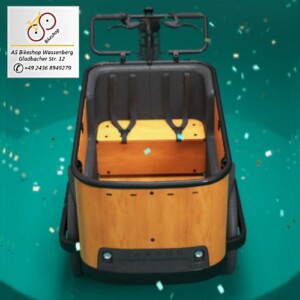 e-Lastenrad Buckle Up e-Lastenrad Buckle Up - nicht wuchtig aber kräftig
