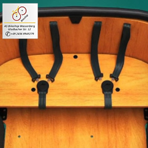 e-Lastenrad Buckle Up - safty first e-Lastenrad Buckle Up - safty first