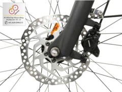 E-Bike Brinckers Brisbane Voederrad Shimano Scheibenbremsen E-Bike Brinckers Brisbane Voederrad Shimano Scheibenbremsen