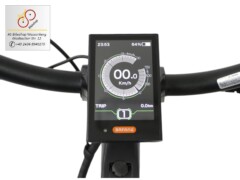 E-Bike Brinckers Brisbane LED-Display mit vielen Funktionen E-Bike Brinckers Brisbane LED-Display mit vielen Funktionen