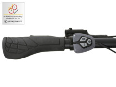 E-Bike Brinckers Brisbane Bedienung elektrische Tretunterstützung E-Bike Brinckers Brisbane Bedienung elektrische Tretunterstützung